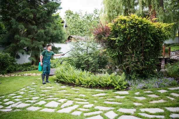 Reliable Sandston, VA Pest Control Solutions