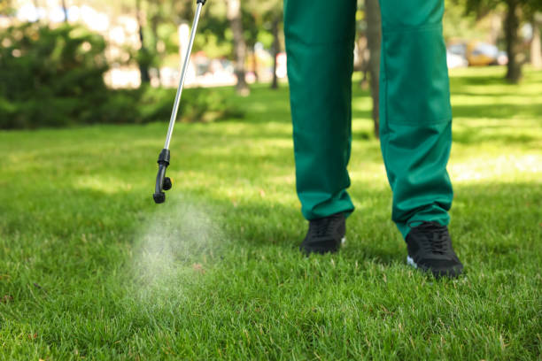 Best Cockroach Control Services  in Sandston, VA
