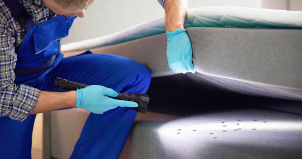 Best Termite Control Services  in Sandston, VA
